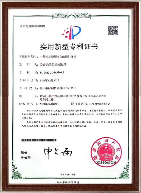 Precision Heavy Load Nitrogen Gas Spring certificates